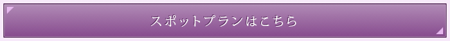 スポットプランはこちら